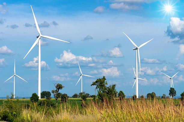 Крупнейшие ВЭУ